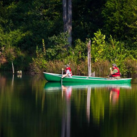 Activities at Kentucky Lake